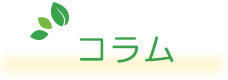 コラム